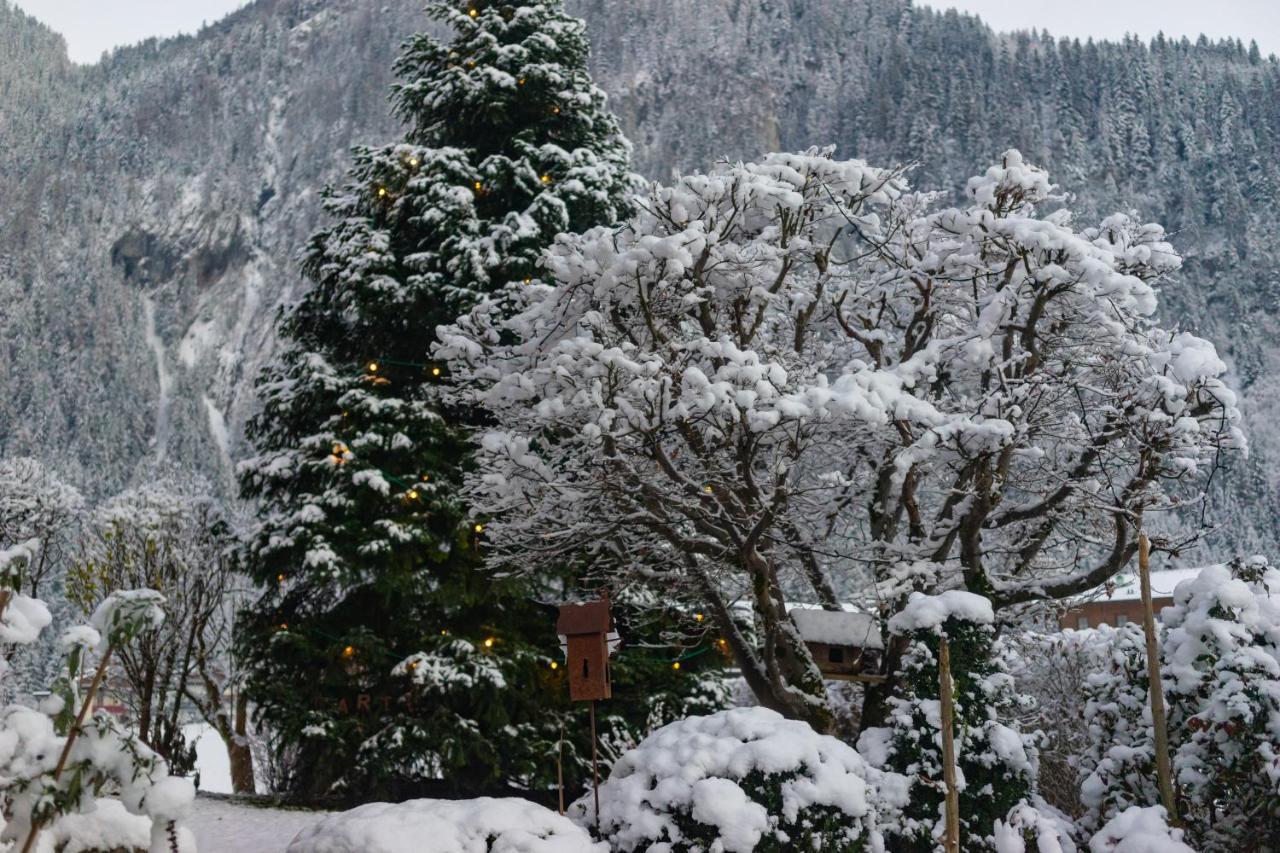 Gaestehaus Hornegger Hotel Mayrhofen Exterior photo